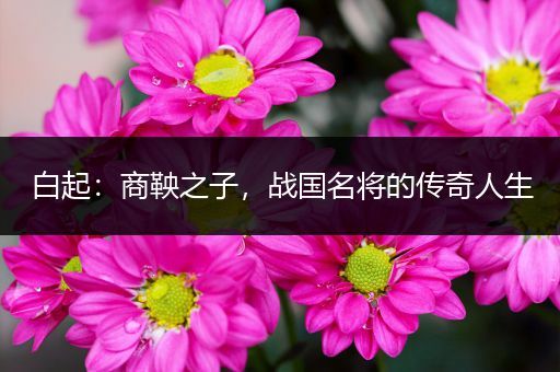白起：商鞅之子，战国名将的传奇人生