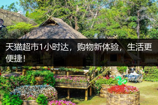 天猫超市1小时达，购物新体验，生活更便捷！