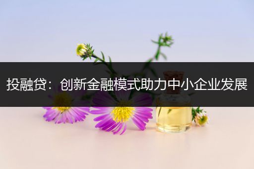 投融贷：创新金融模式助力中小企业发展