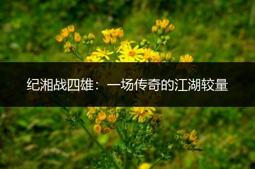 纪湘战四雄：一场传奇的江湖较量