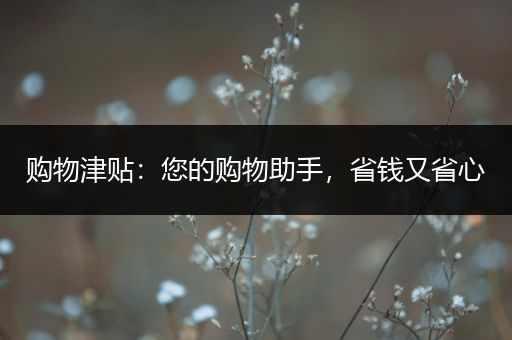 购物津贴：您的购物助手，省钱又省心