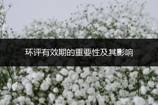 环评有效期的重要性及其影响
