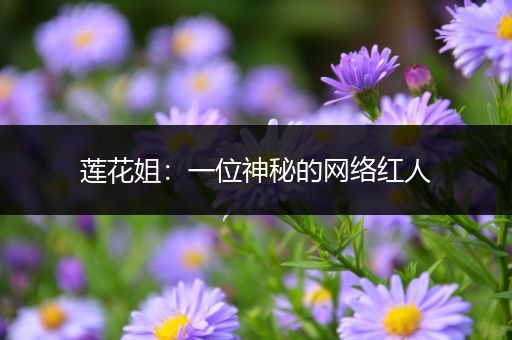 莲花姐：一位神秘的网络红人