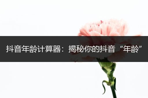 抖音年龄计算器：揭秘你的抖音“年龄”