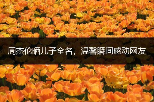 周杰伦晒儿子全名，温馨瞬间感动网友