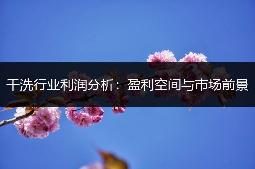 干洗行业利润分析：盈利空间与市场前景