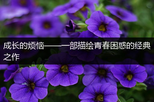 成长的烦恼——一部描绘青春困惑的经典之作