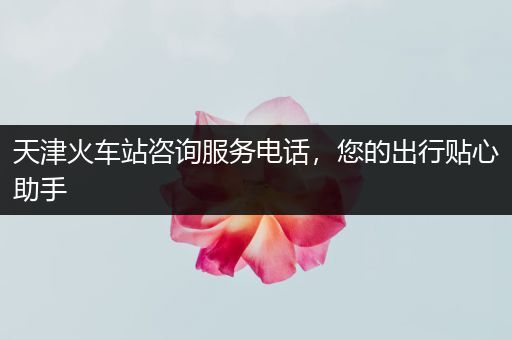天津火车站咨询服务电话，您的出行贴心助手