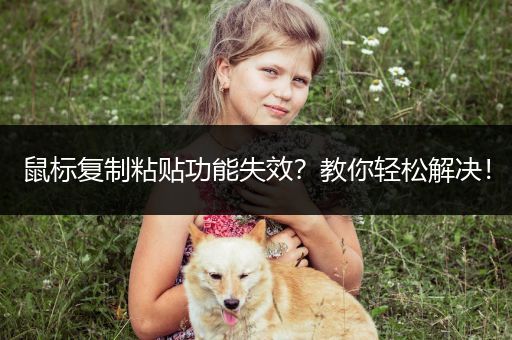 鼠标复制粘贴功能失效？教你轻松解决！