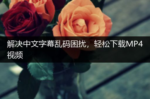 解决中文字幕乱码困扰，轻松下载MP4视频