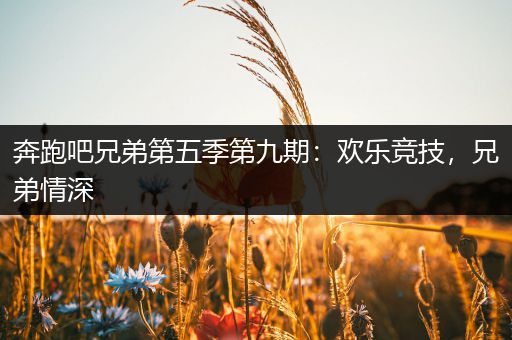 奔跑吧兄弟第五季第九期：欢乐竞技，兄弟情深