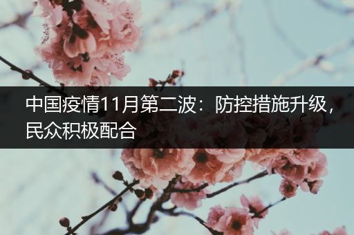 中国疫情11月第二波：防控措施升级，民众积极配合