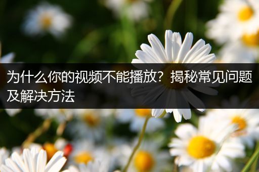 为什么你的视频不能播放？揭秘常见问题及解决方法