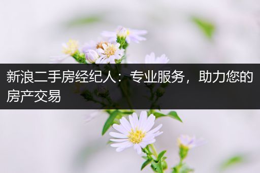 新浪二手房经纪人：专业服务，助力您的房产交易
