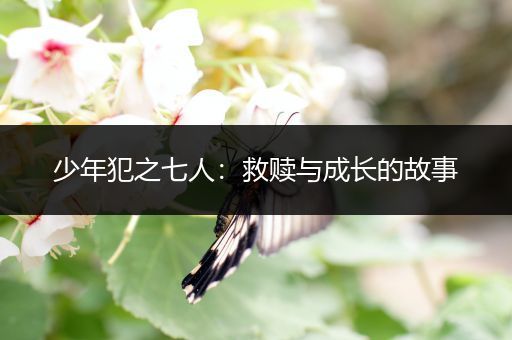 少年犯之七人：救赎与成长的故事