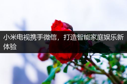 小米电视携手微信，打造智能家庭娱乐新体验