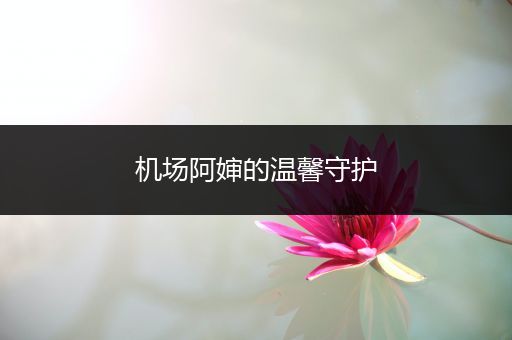 机场阿婶的温馨守护