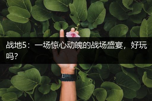 战地5：一场惊心动魄的战场盛宴，好玩吗？