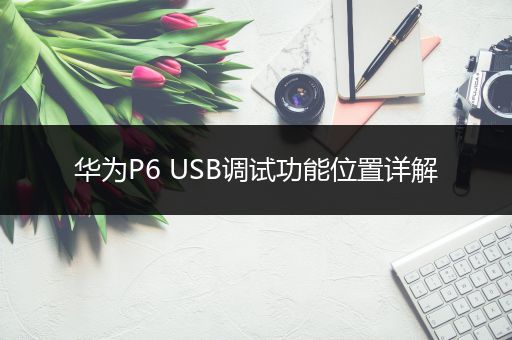 华为P6 USB调试功能位置详解