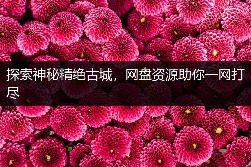 探索神秘精绝古城，网盘资源助你一网打尽