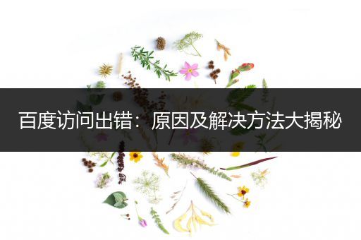 百度访问出错：原因及解决方法大揭秘