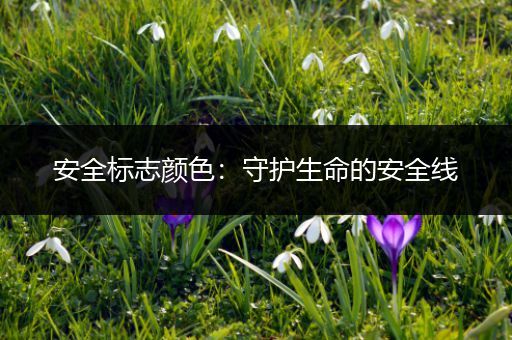 安全标志颜色：守护生命的安全线