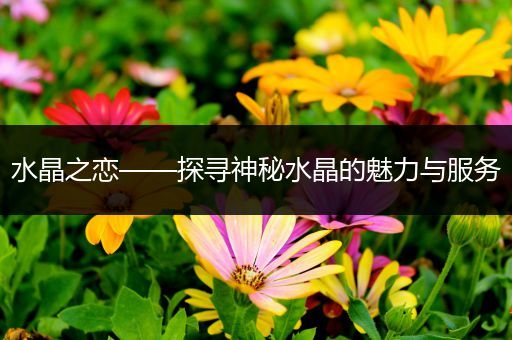 水晶之恋——探寻神秘水晶的魅力与服务