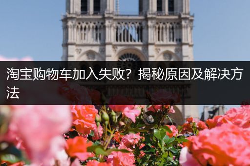 淘宝购物车加入失败？揭秘原因及解决方法