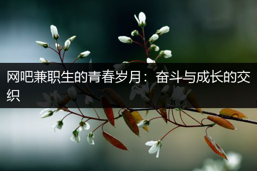网吧兼职生的青春岁月：奋斗与成长的交织
