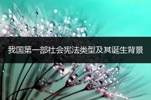 我国第一部社会宪法类型及其诞生背景