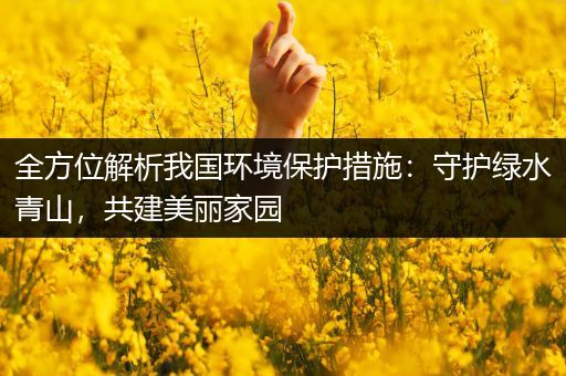 全方位解析我国环境保护措施：守护绿水青山，共建美丽家园