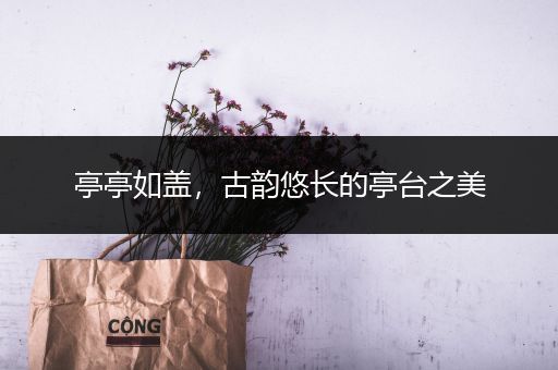 亭亭如盖，古韵悠长的亭台之美