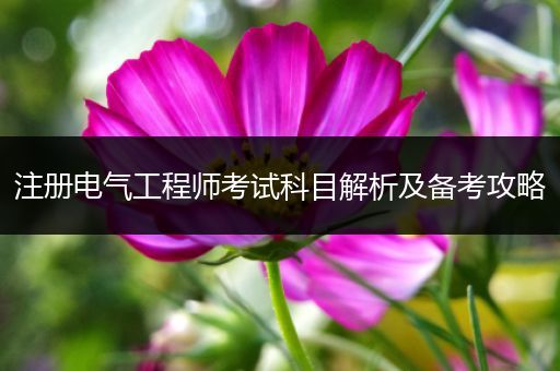 注册电气工程师考试科目解析及备考攻略