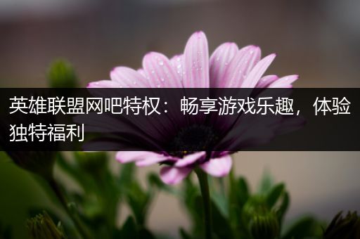 英雄联盟网吧特权：畅享游戏乐趣，体验独特福利