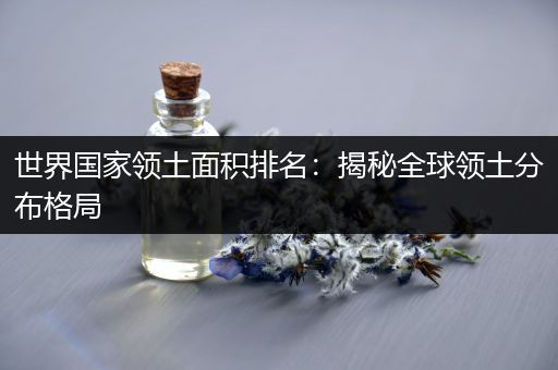 世界国家领土面积排名：揭秘全球领土分布格局