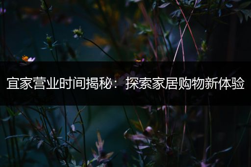 宜家营业时间揭秘：探索家居购物新体验