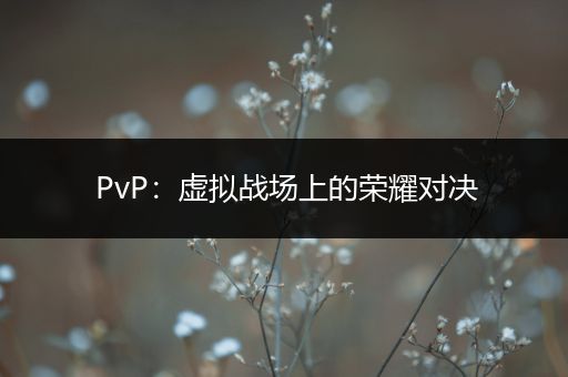 PvP：虚拟战场上的荣耀对决