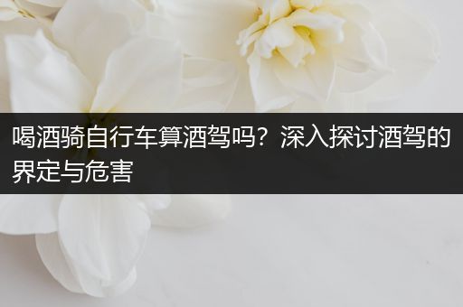 喝酒骑自行车算酒驾吗？深入探讨酒驾的界定与危害