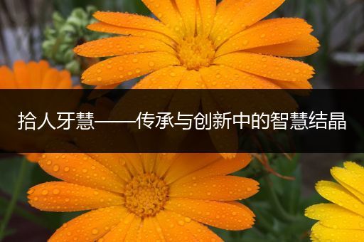 拾人牙慧——传承与创新中的智慧结晶