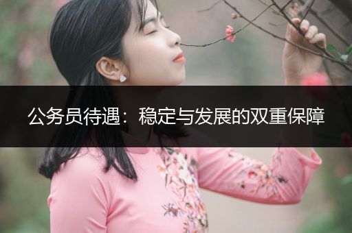 公务员待遇：稳定与发展的双重保障