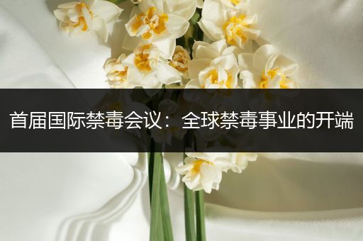 首届国际禁毒会议：全球禁毒事业的开端