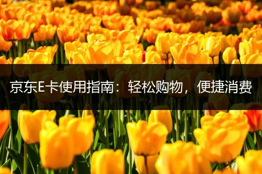 京东E卡使用指南：轻松购物，便捷消费