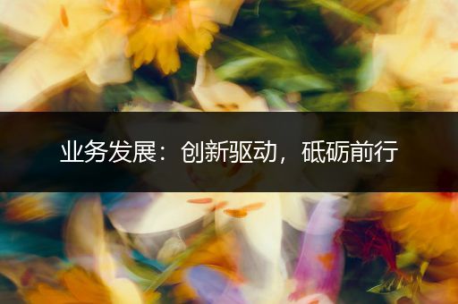 业务发展：创新驱动，砥砺前行