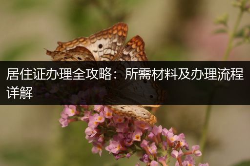 居住证办理全攻略：所需材料及办理流程详解