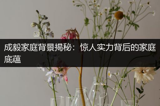 成毅家庭背景揭秘：惊人实力背后的家庭底蕴