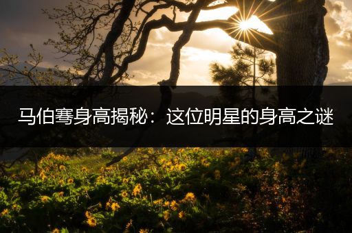 马伯骞身高揭秘：这位明星的身高之谜