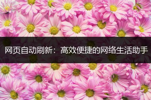 网页自动刷新：高效便捷的网络生活助手