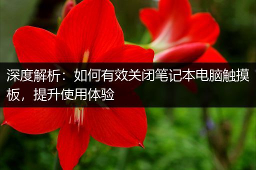 深度解析：如何有效关闭笔记本电脑触摸板，提升使用体验