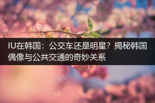 IU在韩国：公交车还是明星？揭秘韩国偶像与公共交通的奇妙关系