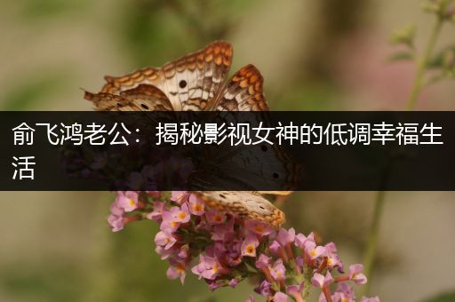 俞飞鸿老公：揭秘影视女神的低调幸福生活